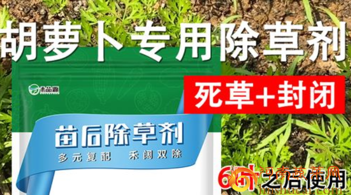 <strong>红萝卜苗期除草，合理选择除草剂必不可少</strong>